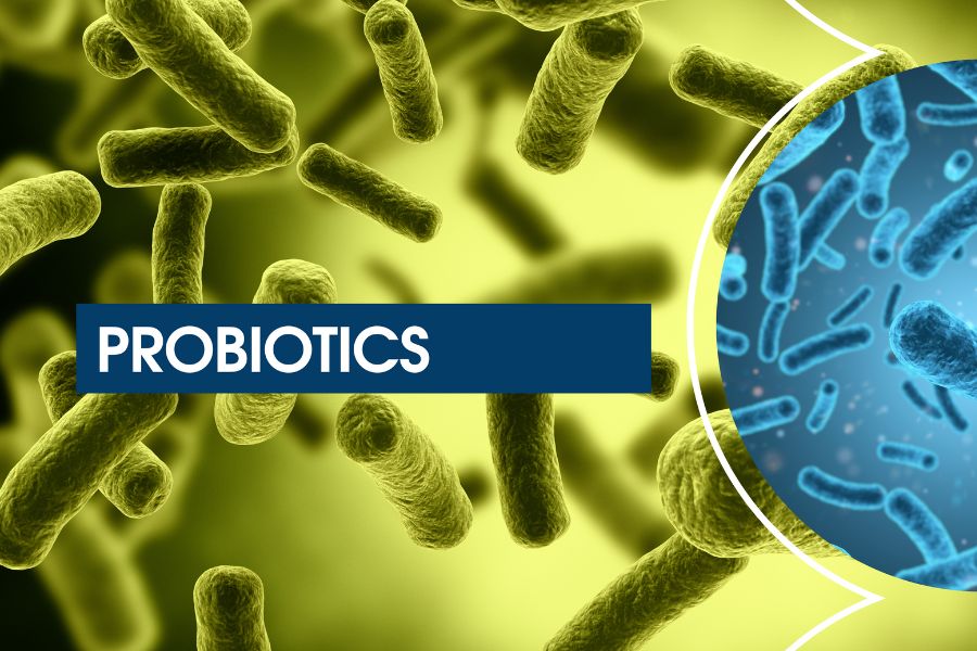 probiotic supplements for gut health