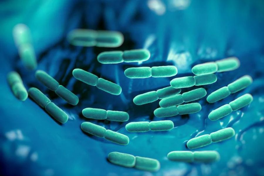 probiotic supplements for gut health