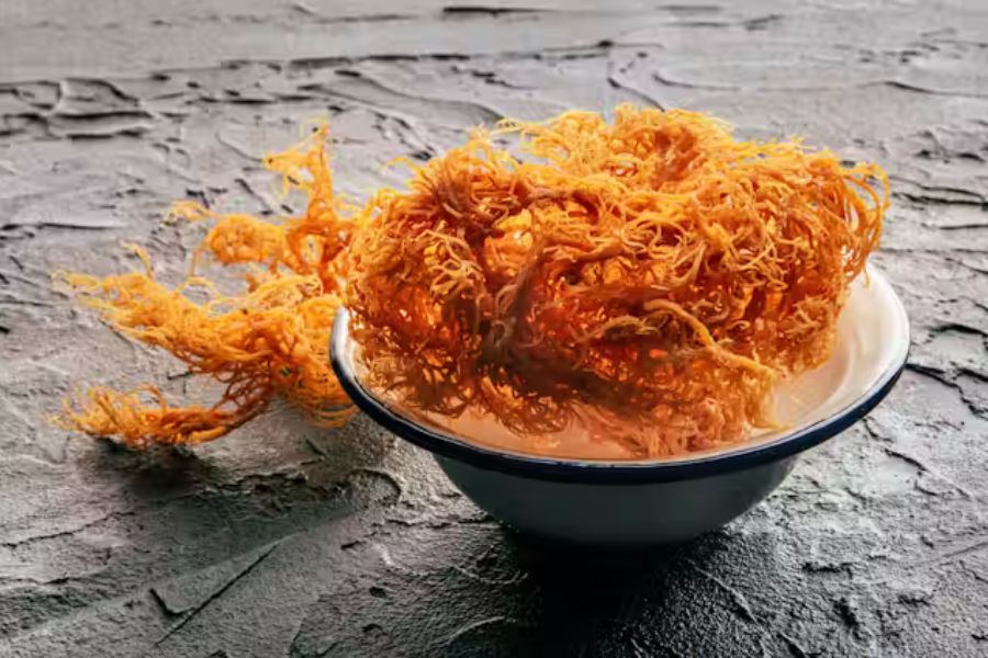 Sea Moss