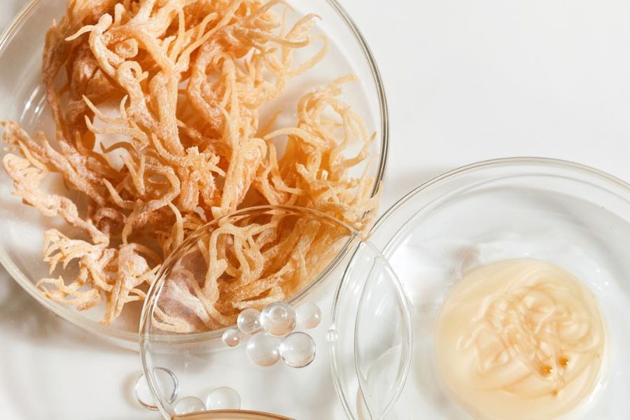Sea Moss