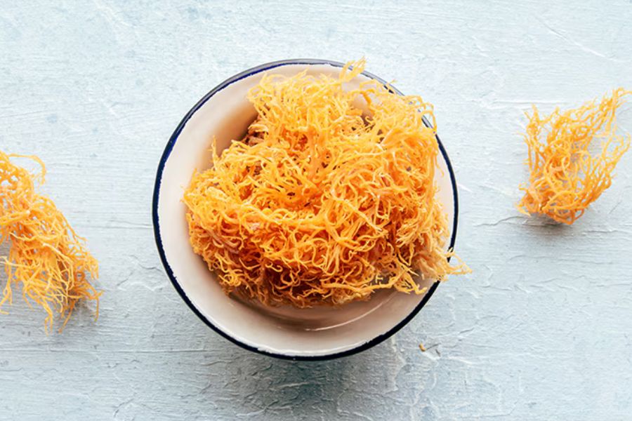 Sea Moss