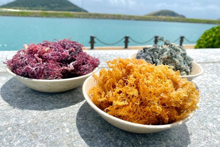 Sea Moss