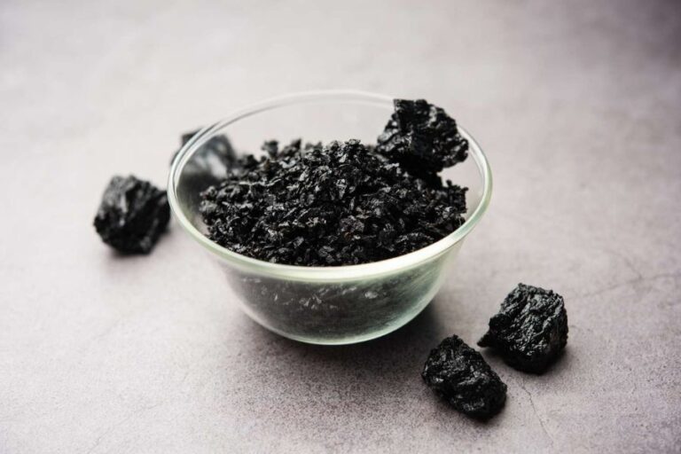shilajit health benefits