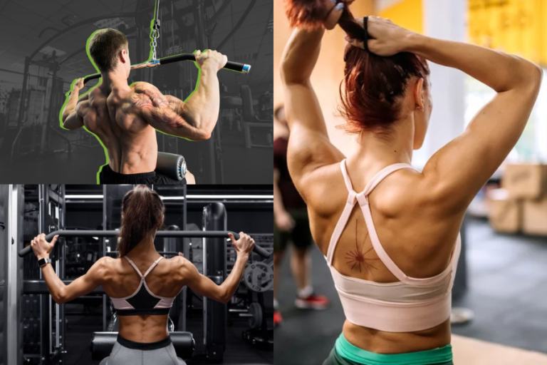 Best Back Exercises