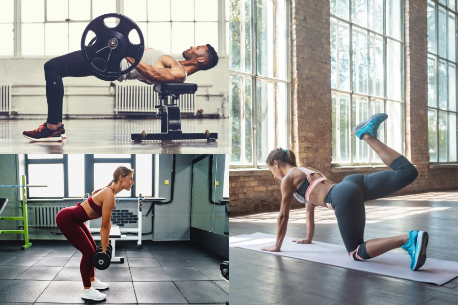 Best Glute Exercises