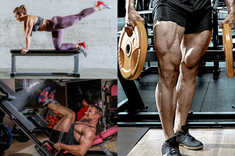 Best Quad Exercises