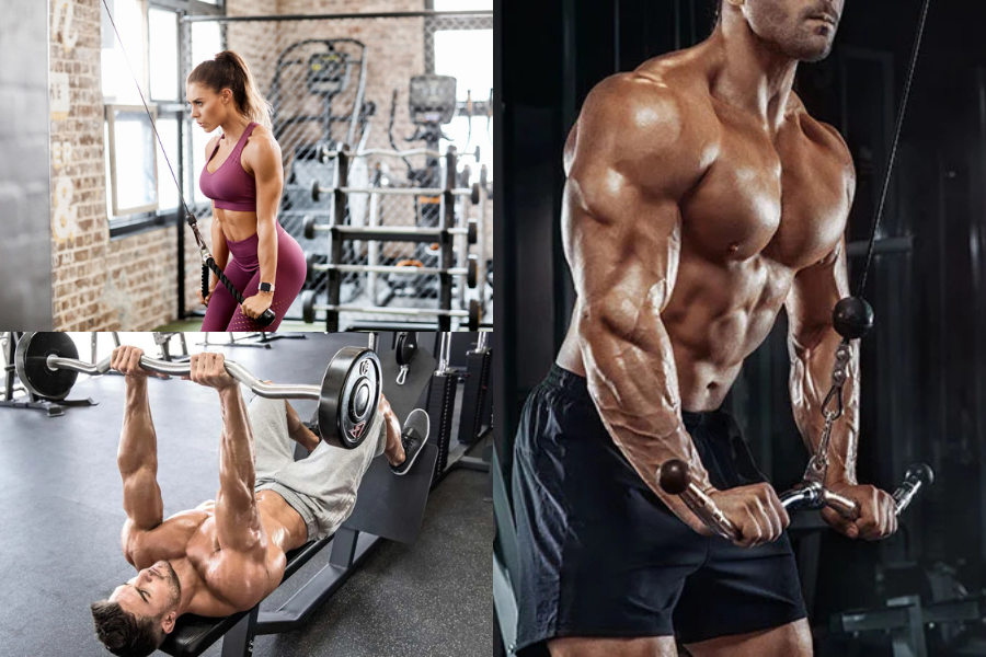 Best Tricep Exercises