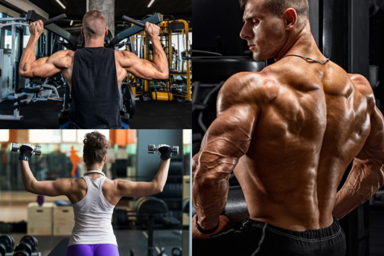 Shoulders workout