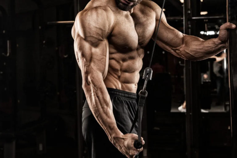 Triceps Workout