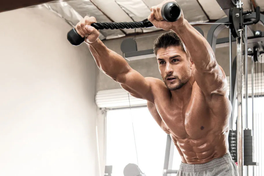 Triceps Workout